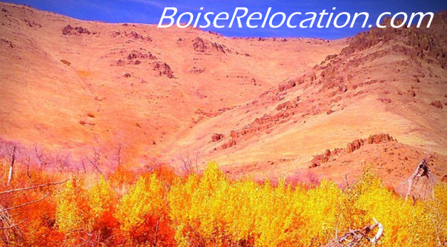 Move To Boise Hunting In Idaho